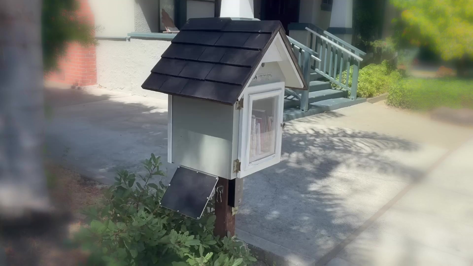 The little free library on Fulton Street